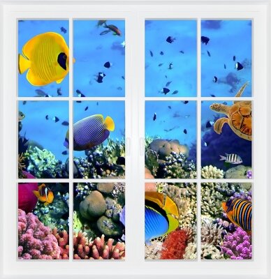 Фотообои с окном Подводный мир