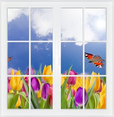 Фотообои с окном Поле с тюльпанами
