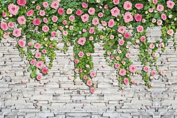 Фотообои Розы на стене